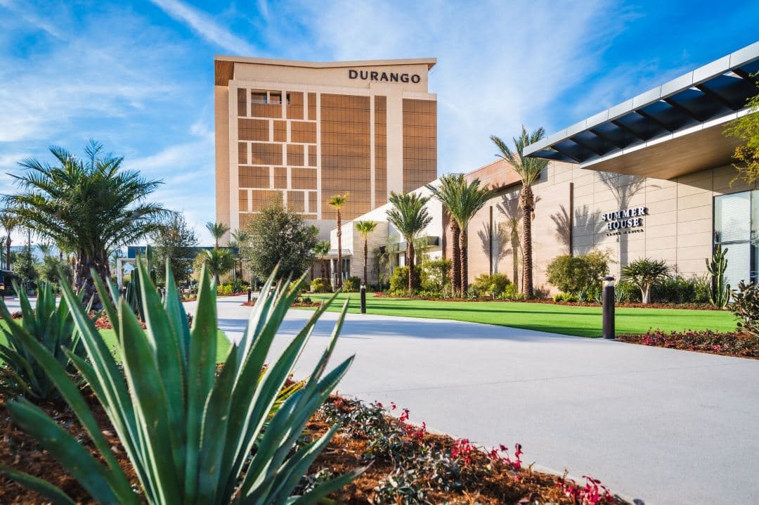 사막의 태양 아래 바하 레지(Baja ledge)와 메주르 대추야자 나무로 둘러싸인 Durango Casino & Resort 수영장 데크.