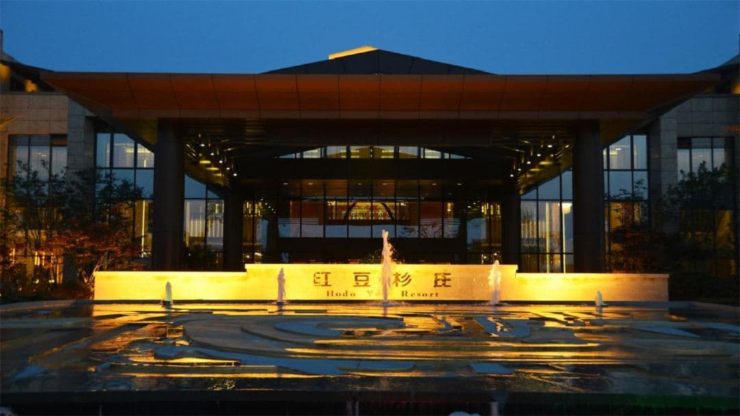 A dense corridor of ancient Yew trees forming a natural green tunnel at Yew Resort Wuxi.