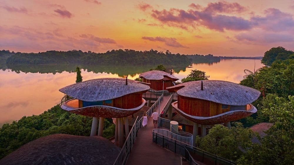 Seed-pod shaped treehouses of Mandai Rainforest Resort elevated amidst the lush Singapore rainforest canopy overlooking the reservoir.