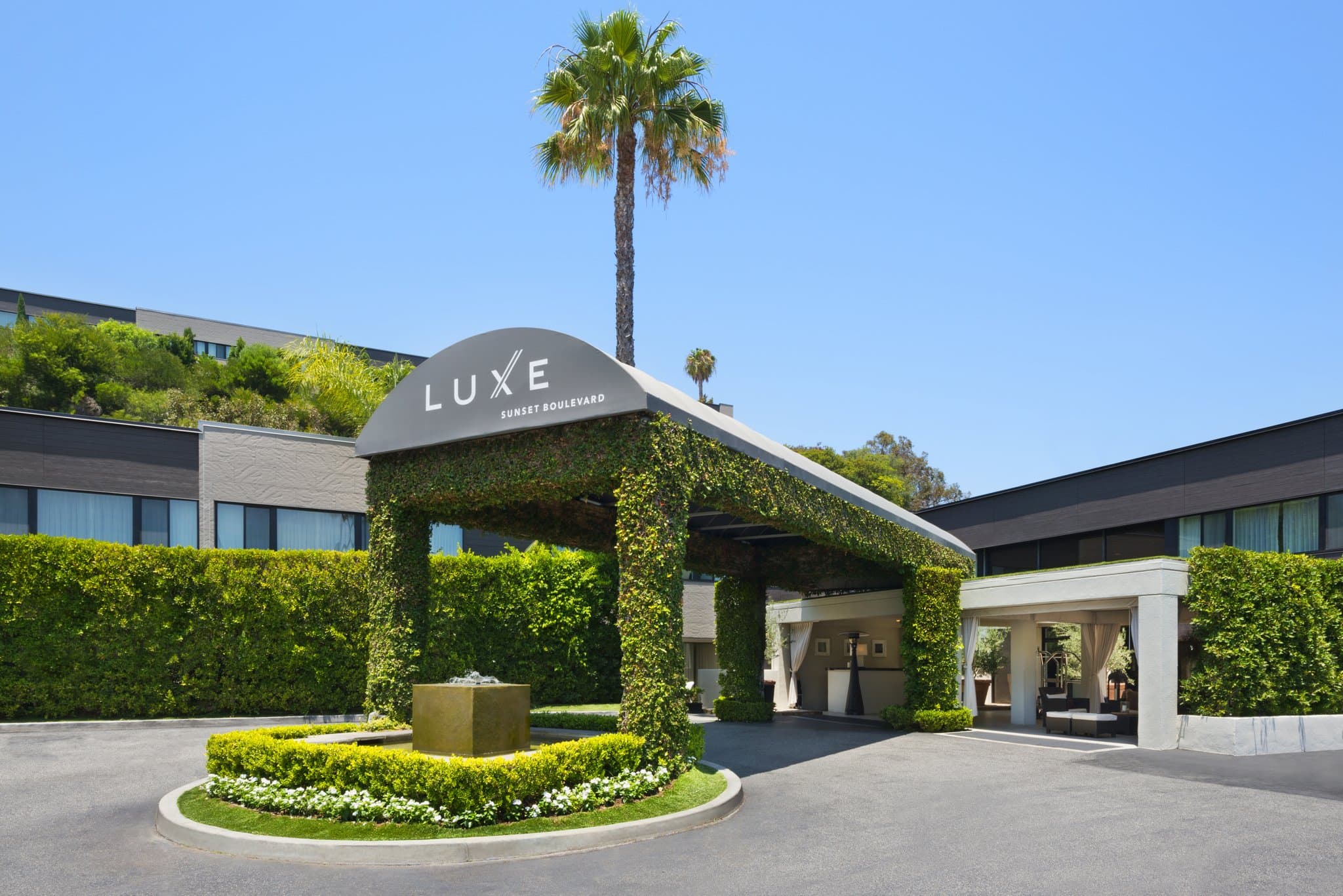 Luxe Sunset Boulevard Hotel 수영장 데크, 황혼 무렵 조명이 켜진 카바나와 올리브 나무.