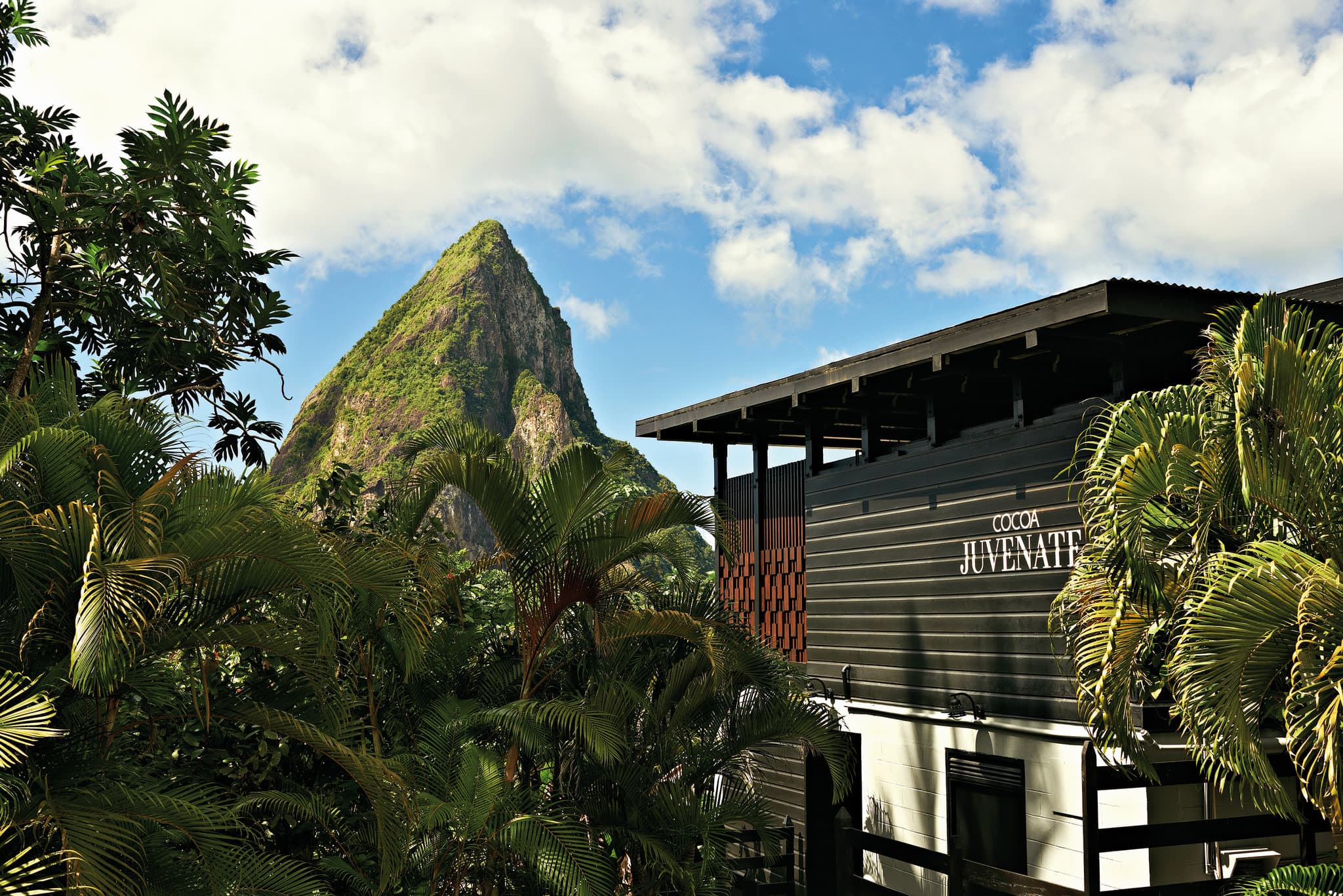 Black quartz infinity pool at Rabot Hotel reflecting the Petit Piton mountain in Saint Lucia.