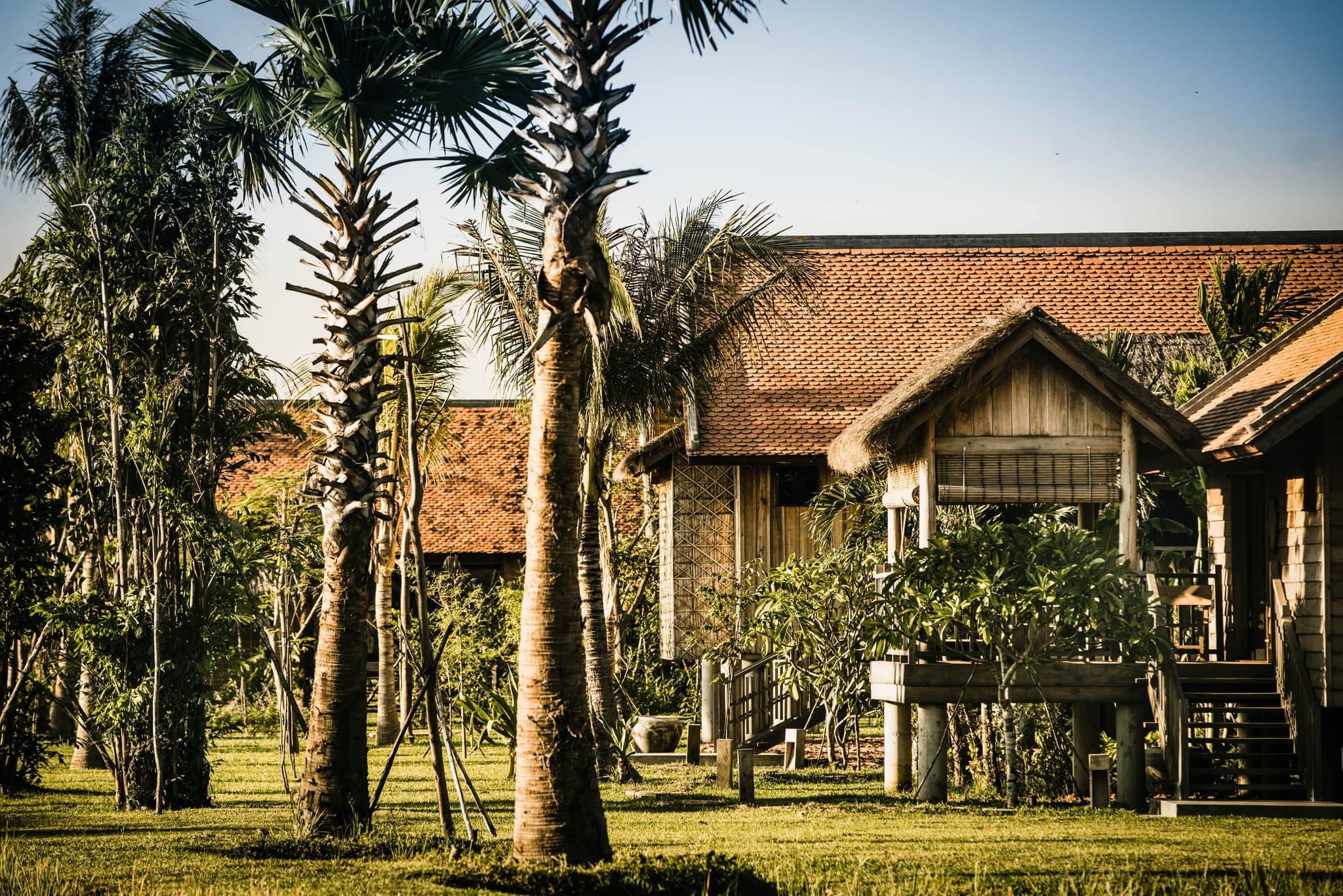 A 50-meter saltwater infinity pool at Phum Baitang lined with black stone, reflecting stilted wooden villas and sugar palm trees at sunset.