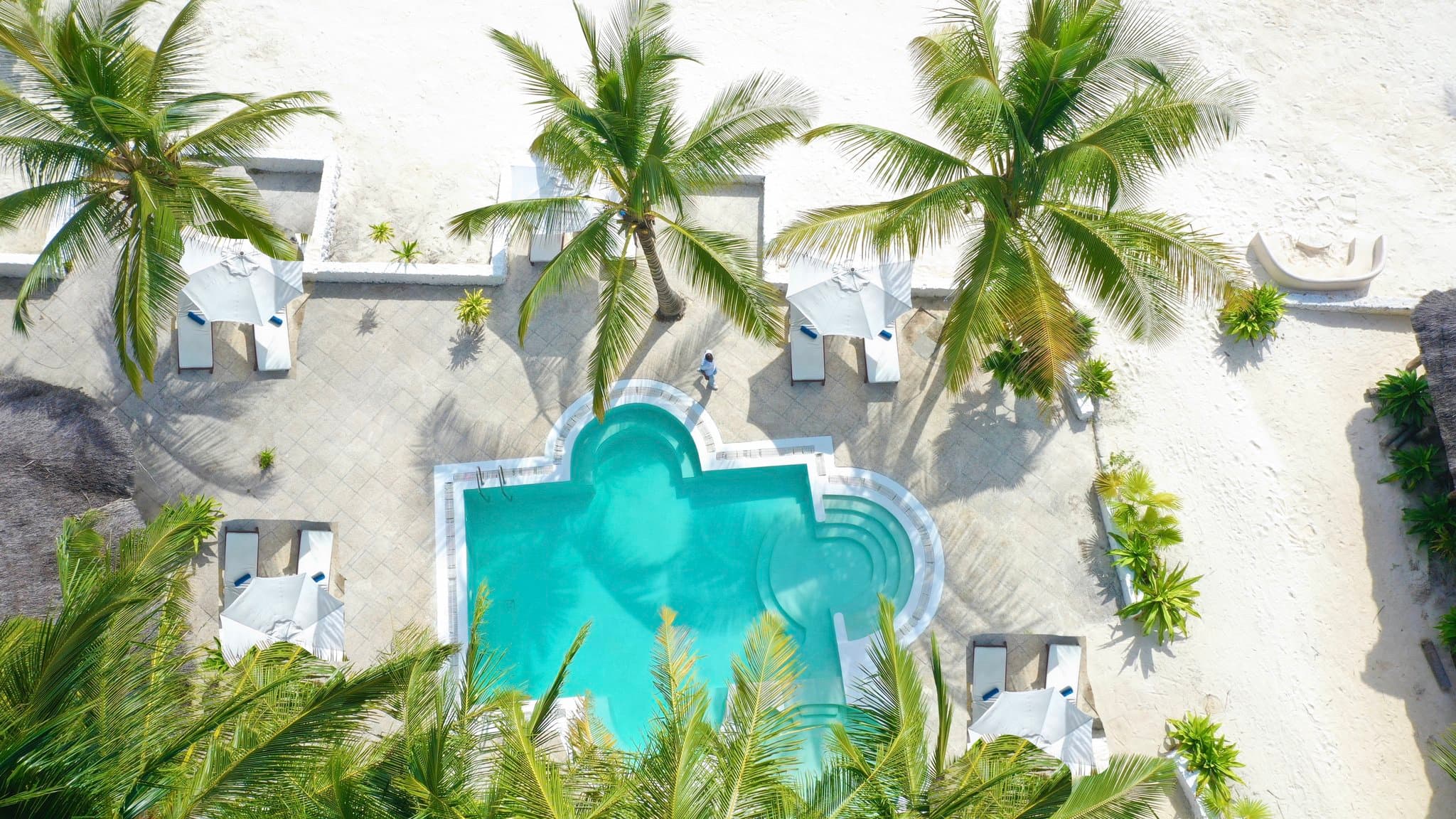 Amani Boutique Hotel infinity pool overlooking the turquoise Indian Ocean in Paje, Zanzibar, framed by palm trees.