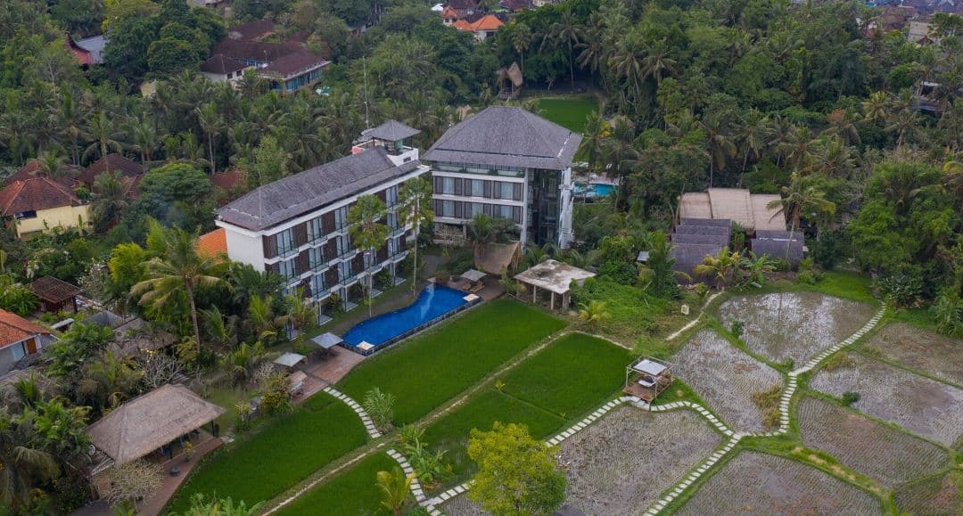 Infinity pool at Plataran Ubud spilling into lush green rice terraces with traditional Balinese architecture in the background.