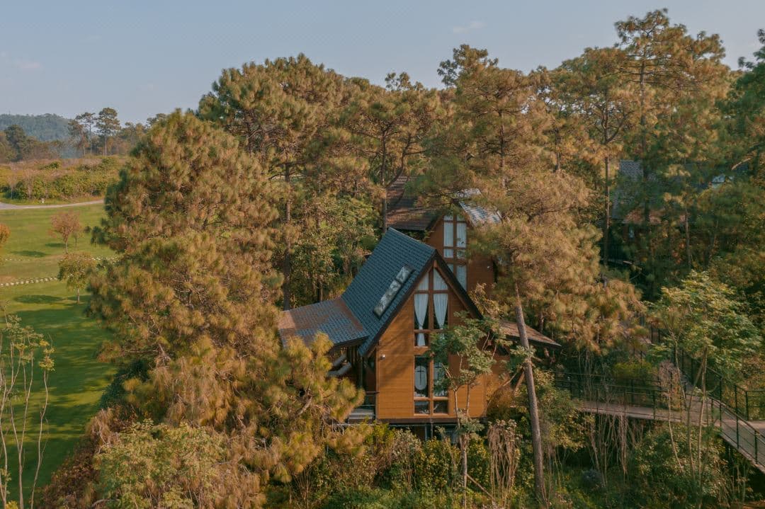 Glowing transparent glamping domes of Yuntun Starry Sky Tent Hotel illuminated at dusk in a lush forest setting.