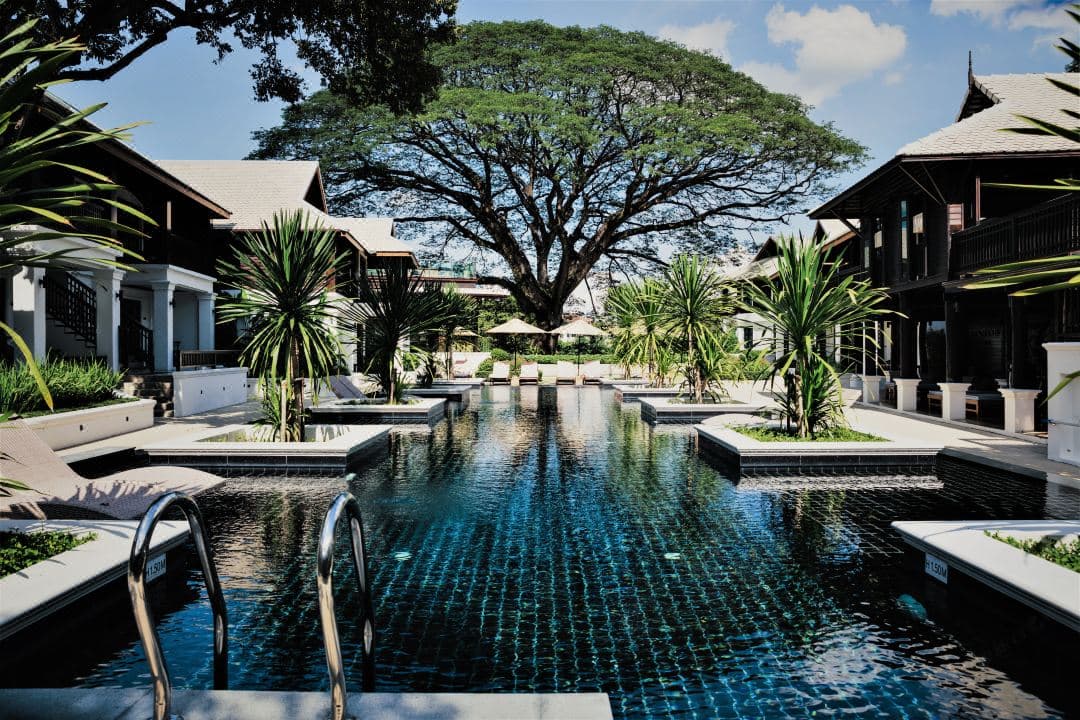 The massive 100-year-old Rain Tree at Na Nirand spreading its branches over the Ping River terrace at sunset.