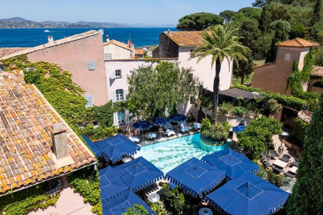 The pool at Hôtel Le Yaca Saint-Tropez featuring a central palm tree, surrounded by a lush garden and white loungers.