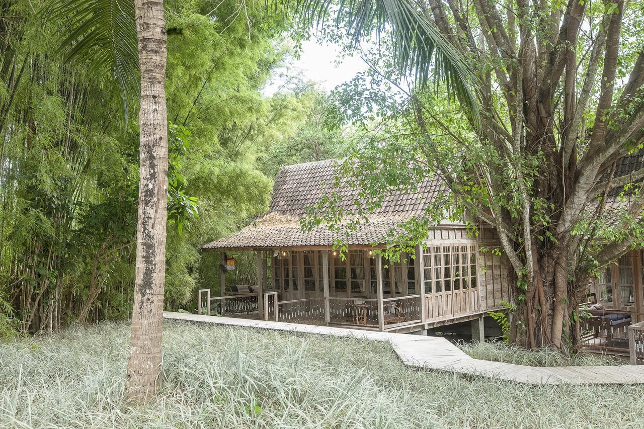 A moody, high-contrast shot of the Balquisse Heritage Hotel pool area featuring red velvet sunbeds, lush tropical greenery, and a crystal chandelier hanging from a tree.