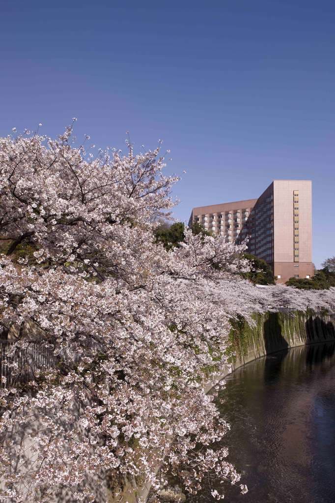 The vermilion Benkei Bridge in Hotel Chinzanso's garden enveloped in the signature Sea of Clouds mist.