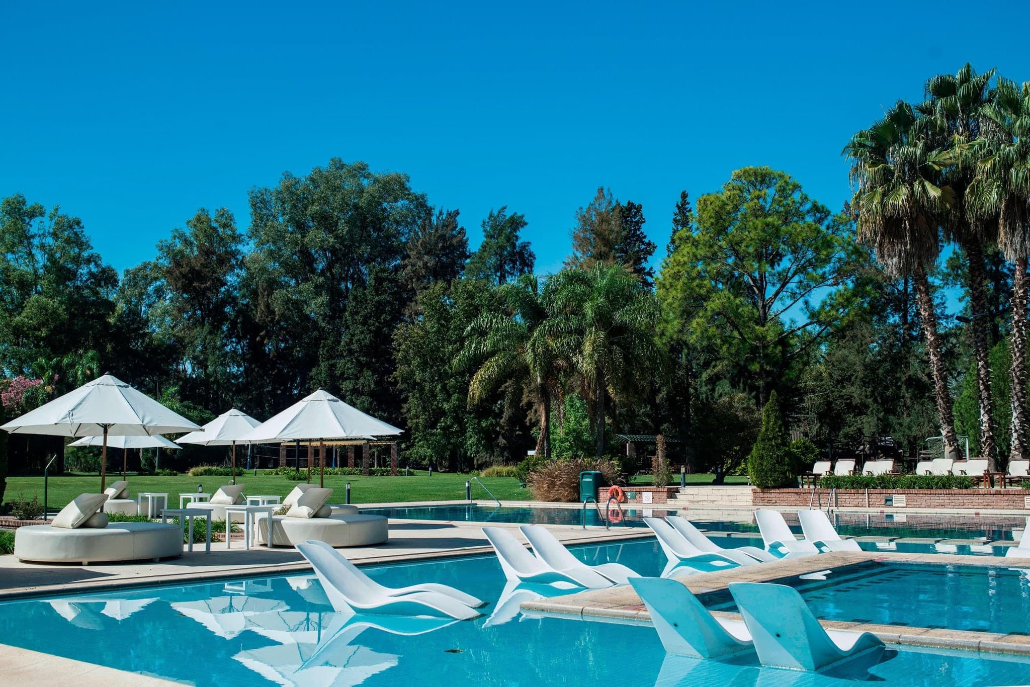 Expansive outdoor pool deck at Sheraton Pilar surrounded by mature palm trees and manicured lawns under a bright Argentine sky.