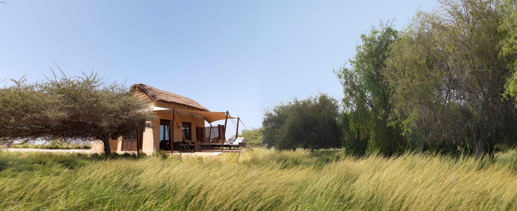 Anantara Al Sahel Villa Resort의 프라이빗 플런지 풀 가장자리에서 물을 마시는 모래 가젤, 건조한 사바나 배경.