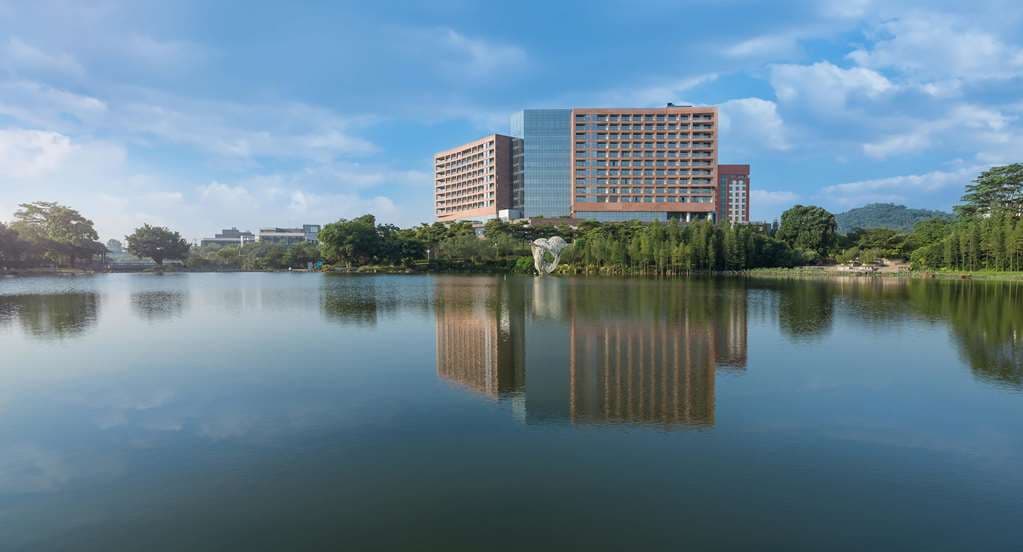 從廣州科學城希爾頓逸林酒店高層陽台俯瞰創業公園的寧靜湖景與茂密植被。
